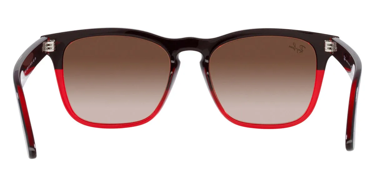 Ray-Ban® Steve RB4487